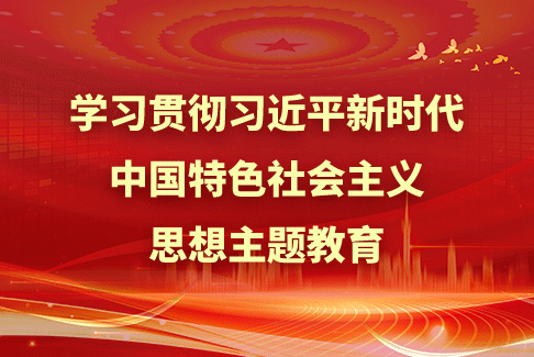 学习贯彻习近平新时代中国特色社会主义思想主题教育